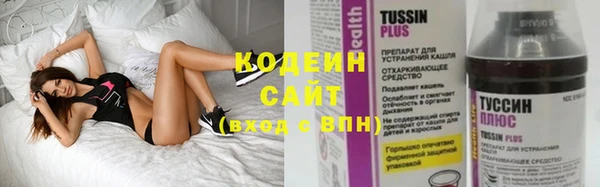 амф Гусь-Хрустальный
