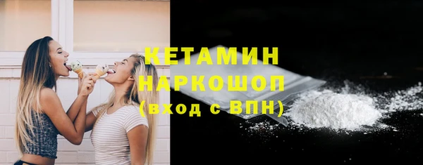 амф Гусь-Хрустальный