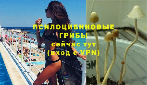 спайс Горняк