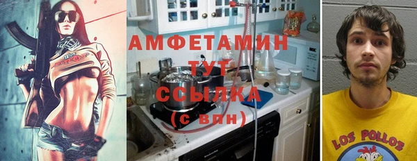 амф Гусь-Хрустальный