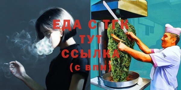 меф Ельня