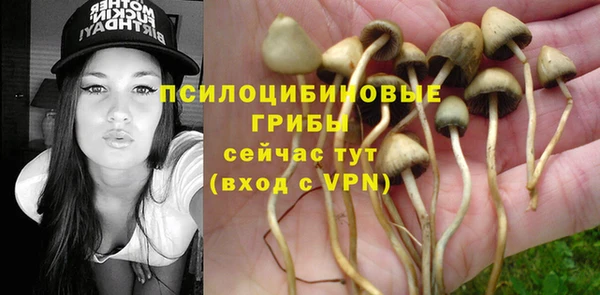шишки Елабуга