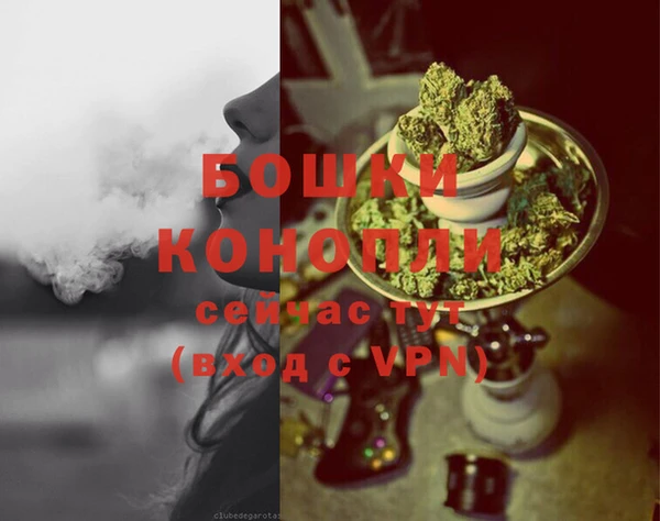 спайс Горняк