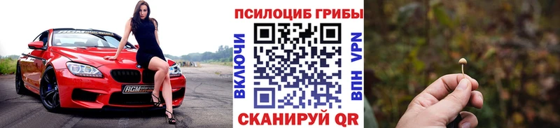 купить наркотики сайты  Сычёвка  Галлюциногенные грибы GOLDEN TEACHER 
